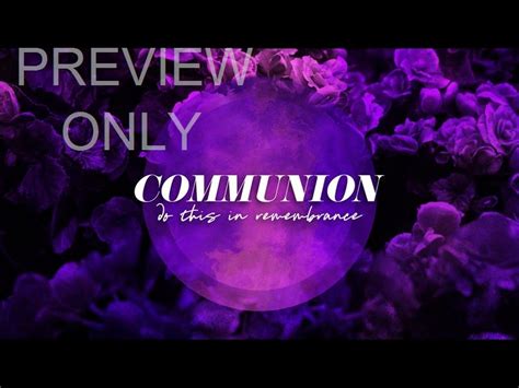 Floral Paint Communion Still Centerline New Media Playback Media Store