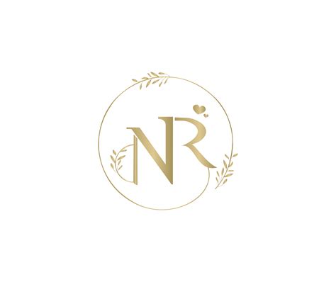 Nr Initial Monogram Logo Vetor Stock Livre De Direitos 343128713