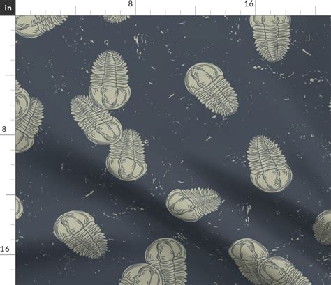 Large Prehistoric Trilobite Fossils With Fabric Spoonflower