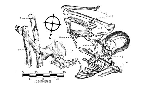 John Hawks on Twitter It is not clear how the Skhūl cave hominin