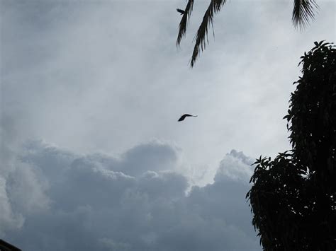 Clouds Heavy Rainy Free Photo On Pixabay Pixabay