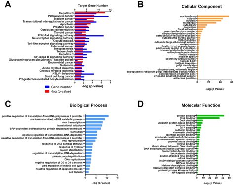 KEGG And GO Enrichment Analysis A KEGG Pathway Analysis On Targets