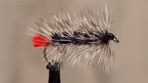 Woolly Worm Youtube Worms The Wooly Fly Tying Patterns