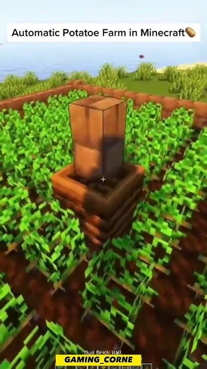 Automatic Potato Farm Minecraft Shorts Shortsvideo Viral Youtube