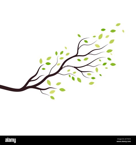 tree branch vector illustration design template Stock Vector Image ...