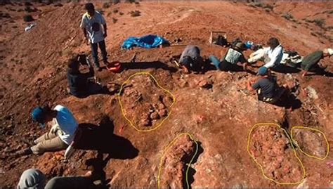 Hallan Restos Fósiles De Un Dinosaurio Herbívoro De 100 Millones De Años En Neuquén