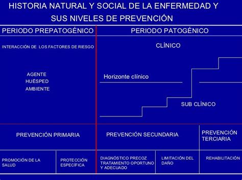 Historia Natural De La Enfermedad