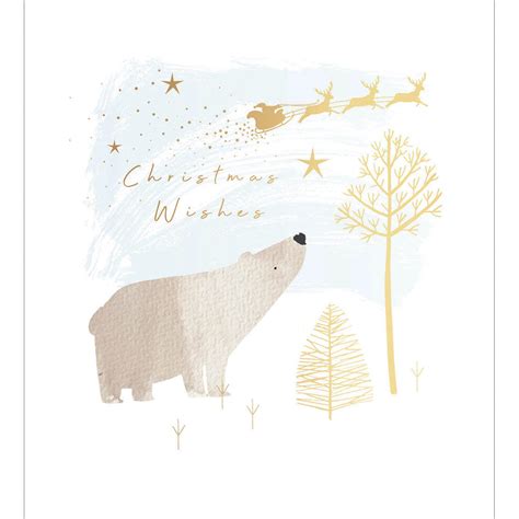 Pack Of 5 Xmas Polar Bear Charity Christmas Cards Cards