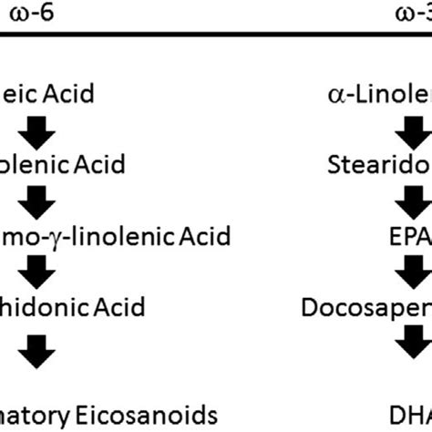 Essential Fatty Acid Metabolism And Metabolites U 3 Fatty Acids Epa Download Scientific