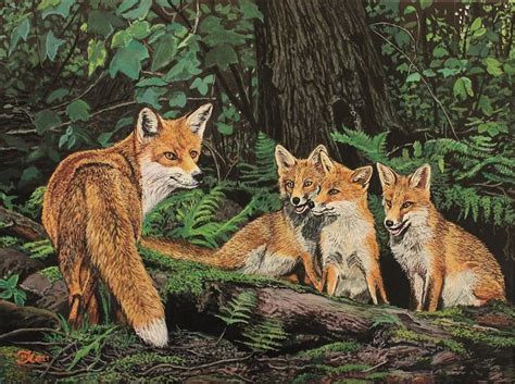 Fuchs Mit Nachwuchs Tierwelt Acrylmalerei Fuchs Tiere Von Mario