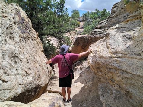 Hiking The Petrified Forest And Sleeping Rainbow Trails At Escalante