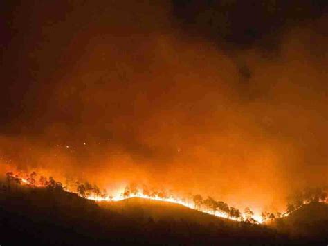 Honduras Conmemora El D A De La Tierra Afectada Por Incendios Y