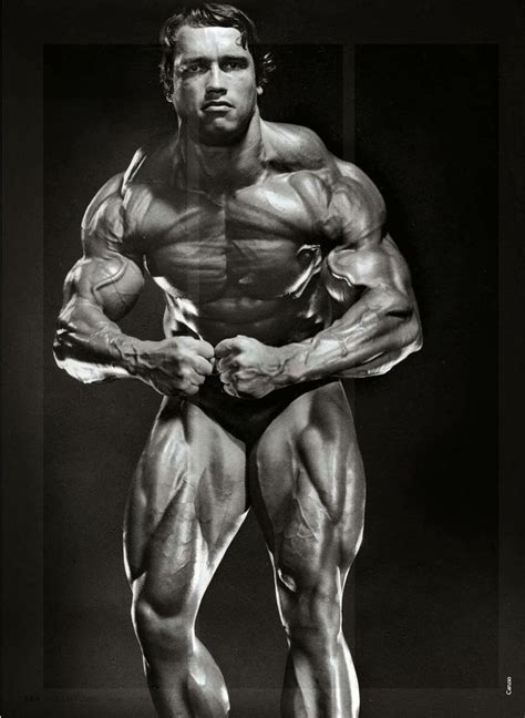 Arnold Schwarzenegger Arnold Bodybuilding Arnold Schwarzenegger