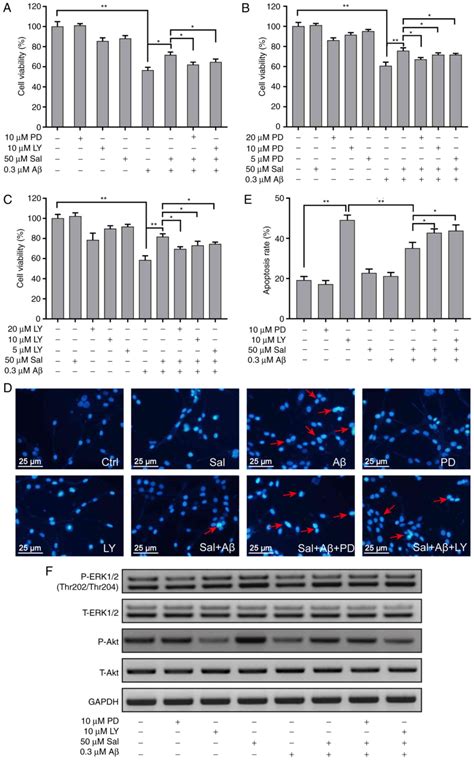 Salidroside Protects Pc Cells Against Amyloid Induced Apoptosis By