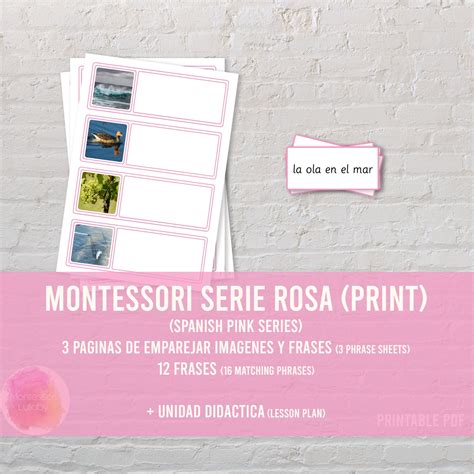 Print Serie Rosa Montessori Phrases Sentences Spanish Pink Series Matching Cards Lesson Plan