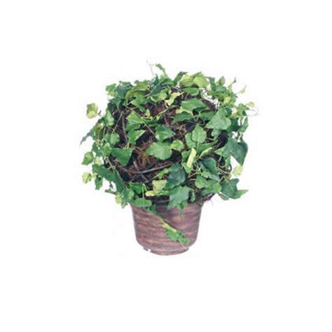 Ivy Ball Artificial Distinción En 30 Cm Euroflor Global Service