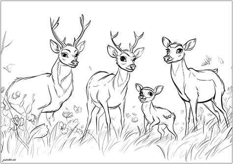 Famille De Cerfs Cerfs Coloriages Difficiles Pour Adultes