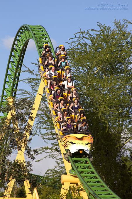 How Fast Is Cheetah Hunt At Busch Gardens Fasci Garden