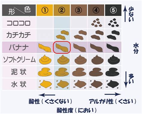 ライラック乳酸菌が「よい便」をつくるメカニズムとは？｜食事｜健康コラム｜100歳まで楽しく歩こう Project By キューサイ