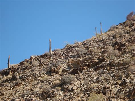 Richtersveld X Drive Through Sheer Mountain Desert Drive South Africa