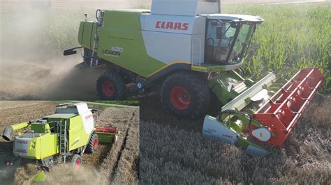 Weizen Dreschen Claas Lexion 620 Claas Vario 620 YouTube