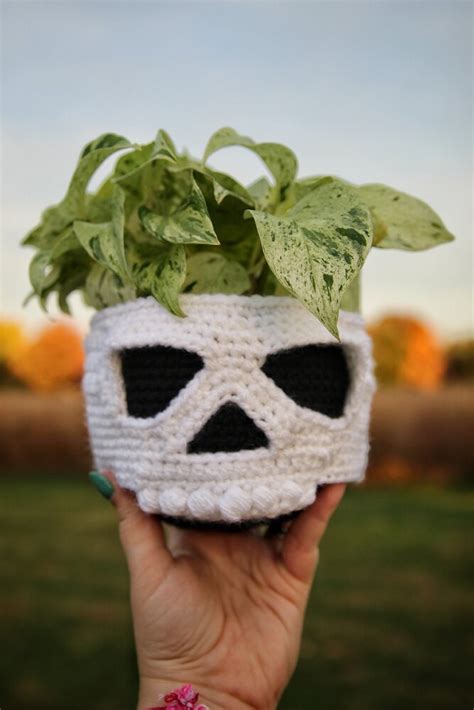 Hanging Planter Skull Crochet Pattern