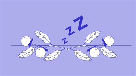 12 Natural Herbs For Sleep - eachnight