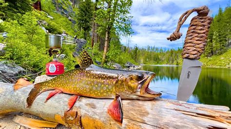 Wild Trout Catch And Cook In Remote Mountains Solo Challenge Youtube