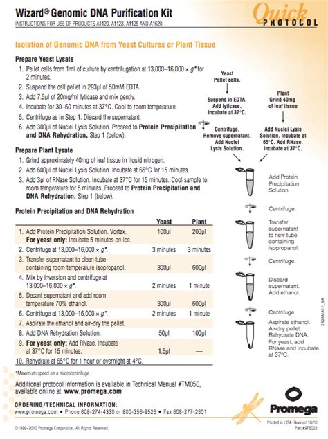 Cell Lysis Buffer For Dna Extraction Opmtaste