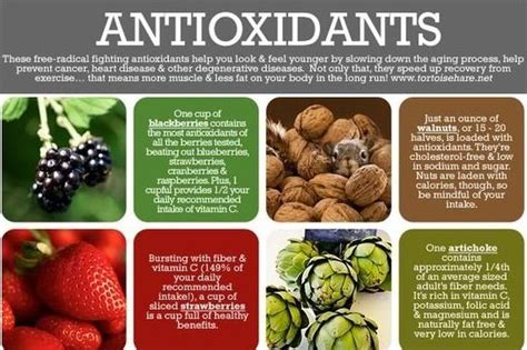 13 Delicious Antioxidant Foods That Are Great For Your Health Lifehack