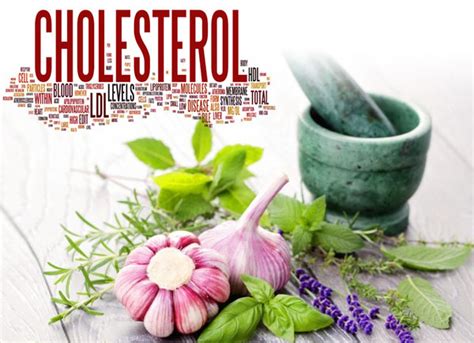 6 Best Cholesterol Lowering Herbs Dr Sam Robbins