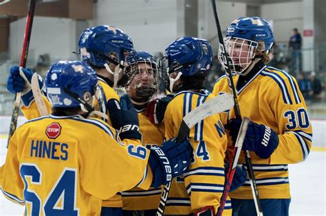 Lyons Township Hockey Club