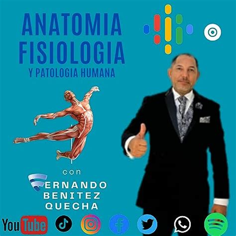 Amazon Anatomia Fisiologia Y Patologia Humana Dr Fernando