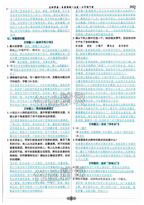 2024年初中达标学案名著解读一点通七年级下册人教版答案——青夏教育精英家教网——