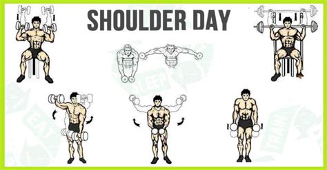 5 Amazing Shoulder Workouts Bodydulding