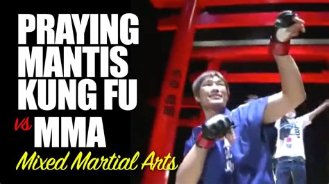 Praying Mantis Kung Fu Vs Mma Mixed Martial Arts Youtube