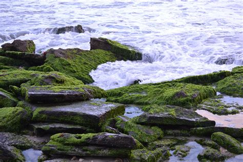 Green Rocks and Lilac Ocean by MayEbony on DeviantArt