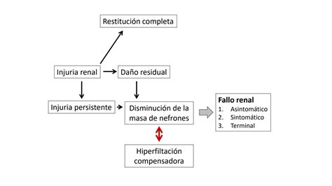 Solution Caso Clínico Insuficiencia Renal Crónica Semiología Resumen