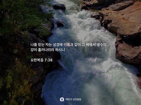 요한복음 738 Daily Bible Inspirations