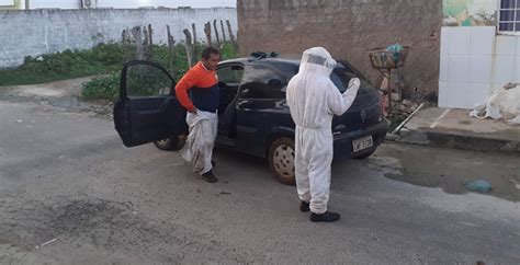 Duas pessoas ficam feridas após ataque de abelhas em Campo Maior