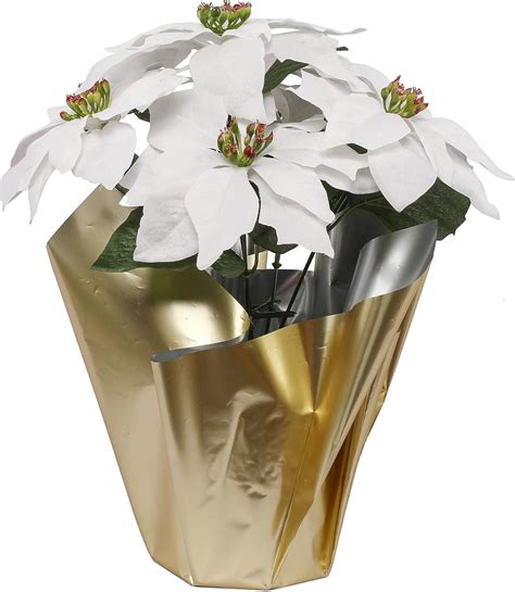 Amazon 15 5 White Poinsettia In Gold Wrapped Pot By Ashland