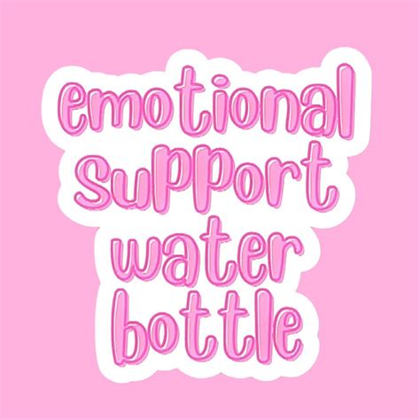 Emotional Support Water Bottle 2 3 Or 4 Premium Die Cut Vinyl Sticker Ships Within 24 Hrs