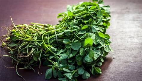 Amazing Health Benefits Of Fenugreek Lifeberrys