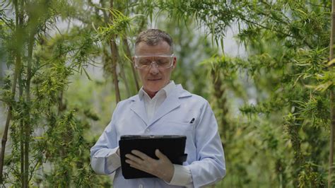 5 Sneaky Ways To Flush Your System And Say Goodbye To Thc