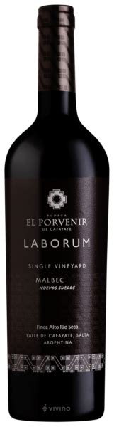 Bodega El Porvenir De Cafayate Laborum Single Vineyard Nuevos Suelos