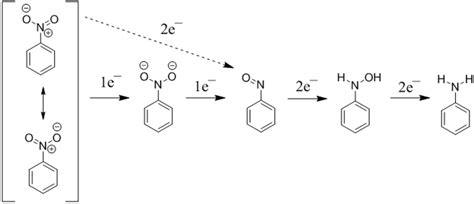 Mechanism for the reduction of nitro groups in nitroaromatic compounds ...