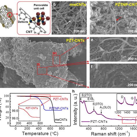 Synthesis And Characterization Of Pzt Np Cnts And Pzt Cnts A