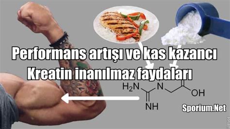 Kreatin Nedir Kreatin Faydalar Nelerdir Fitness Bilgi