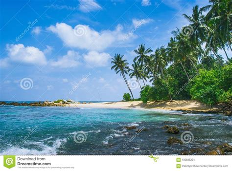 Playa Secreta En Mirissa Sri Lanka Foto De Archivo Imagen De Paisaje