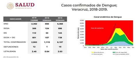 Ya Son 6 Mil 107 Casos Confirmados De Dengue En Veracruz La Silla Rota